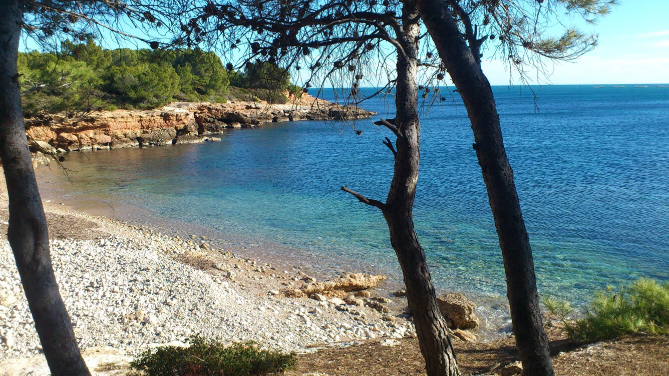 Cala Port Olivet